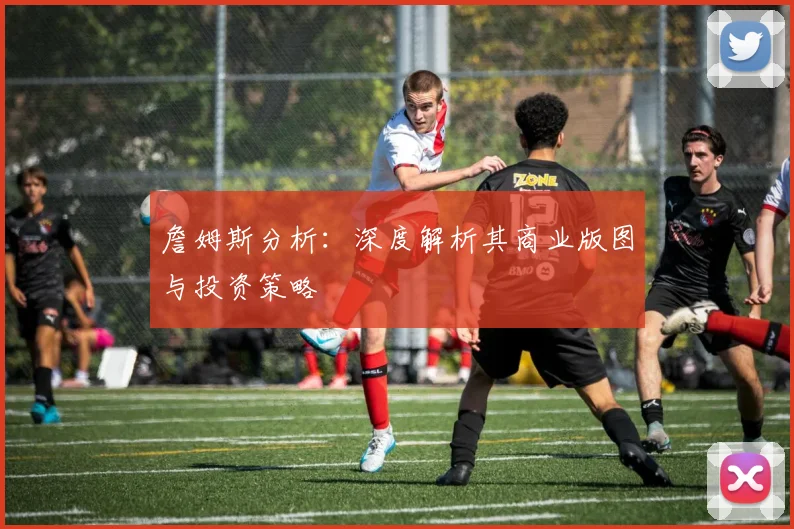 詹姆斯分析：深度解析其商业版图与投资策略