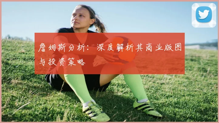 詹姆斯分析:深度解析其商业版图与投资策略